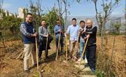 民族医药学院教工党支部为民族药用植物园建设贡献力量